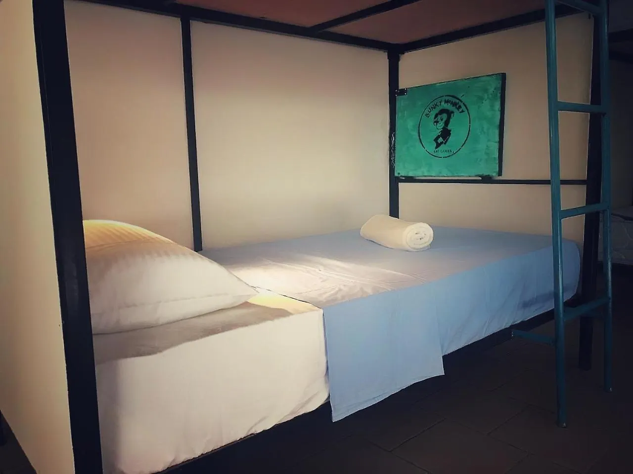 Bunky Monkey Hostels Colombo